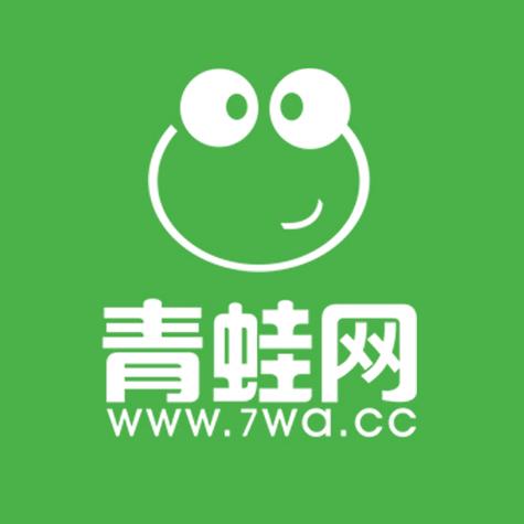 重庆雷蛙网络科技集团 专业信息咨询服务，赋能企业数字化转型